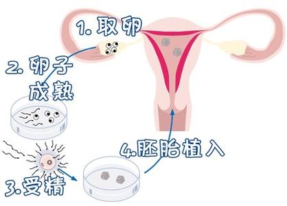 张暖春主任